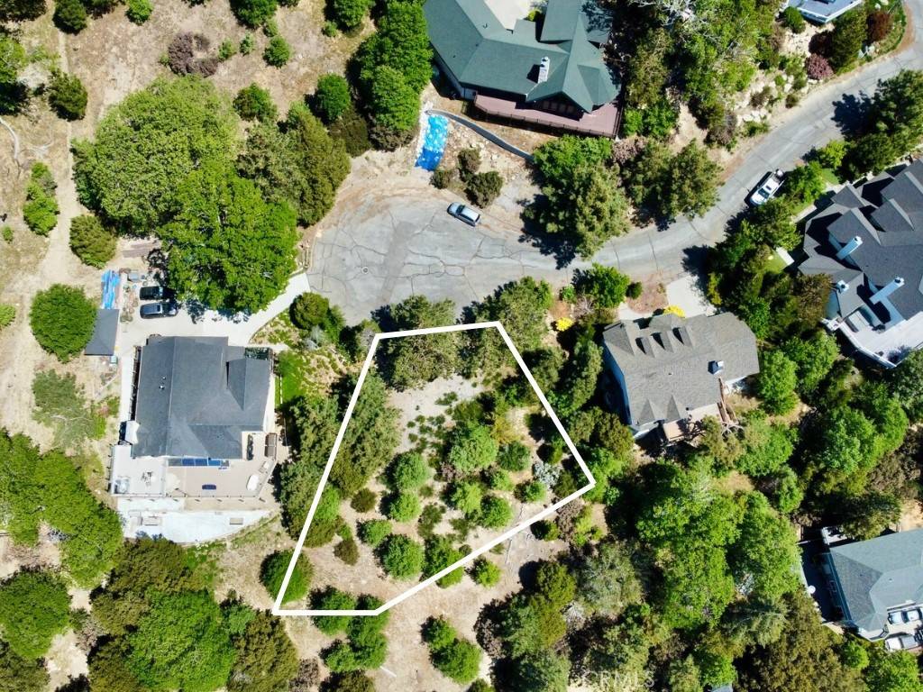 Lake Arrowhead, CA 92352,0 Black Oaks CT