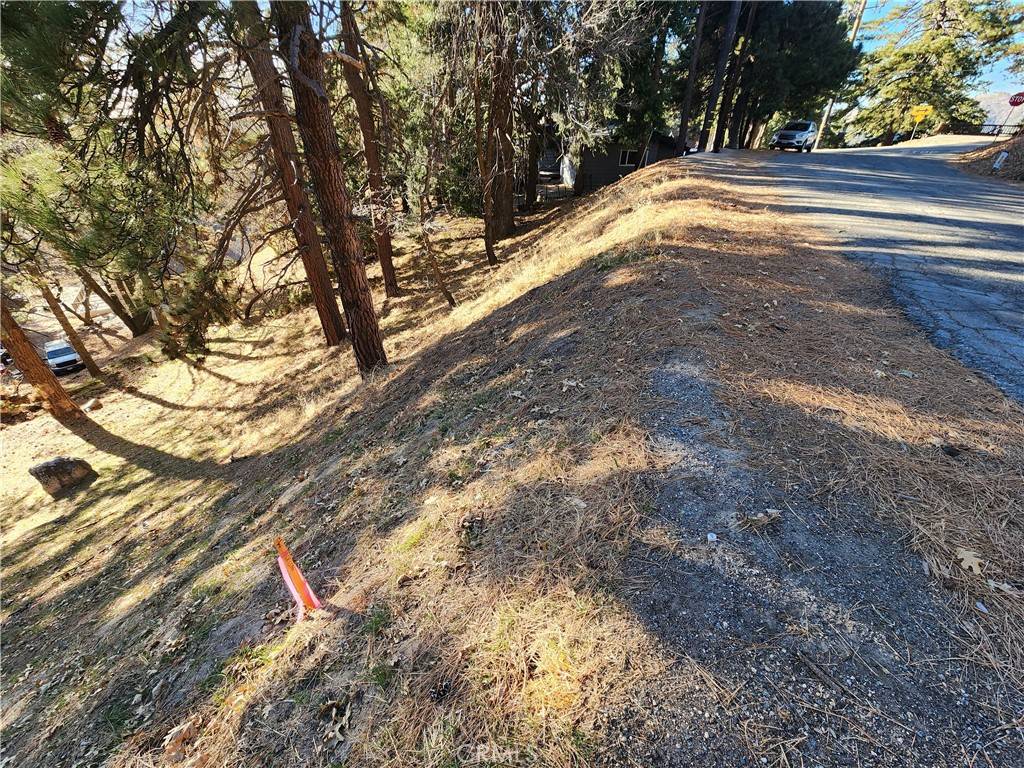 30696 Ferndale DR Running Springs, CA 92382