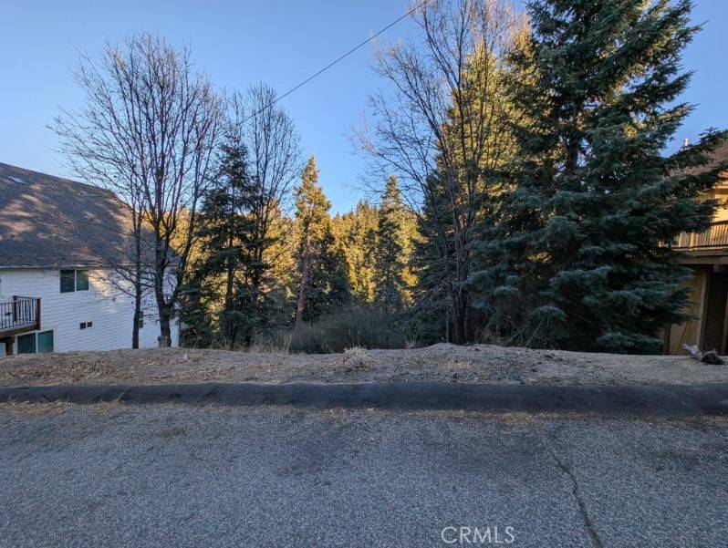 Lake Arrowhead, CA 92352,0 Shenandoah DR