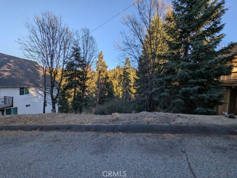 Lake Arrowhead, CA 92352,0 Shenandoah DR