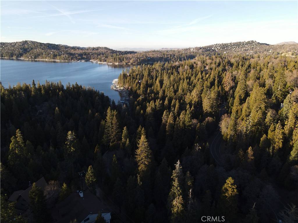 Lake Arrowhead, CA 92352,0 Shenandoah DR