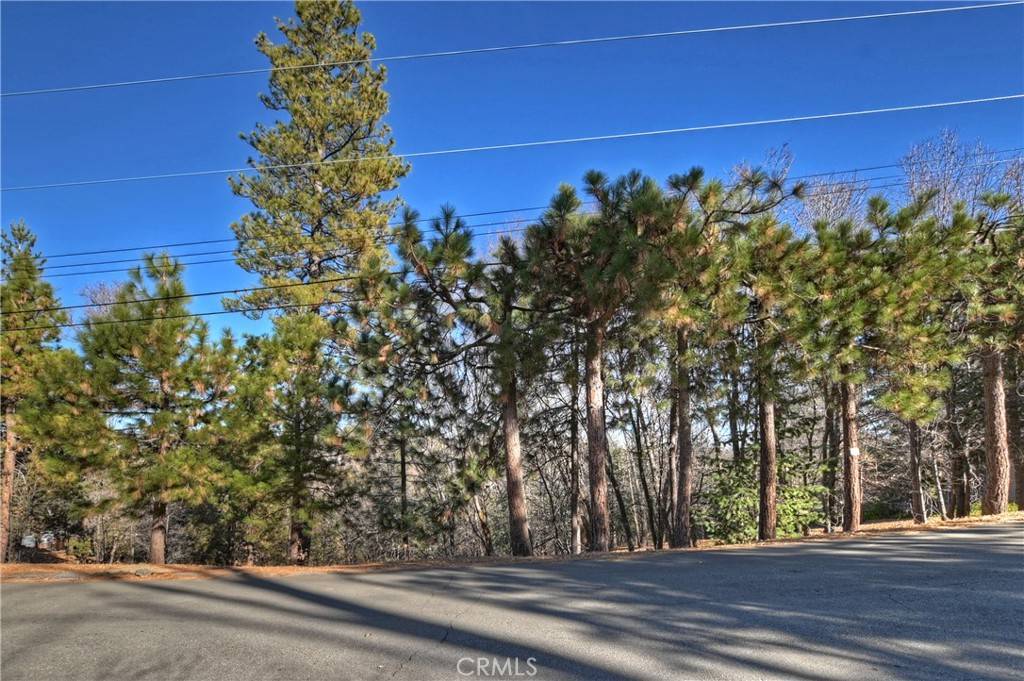 Lake Arrowhead, CA 92352,0 Lucerne LN