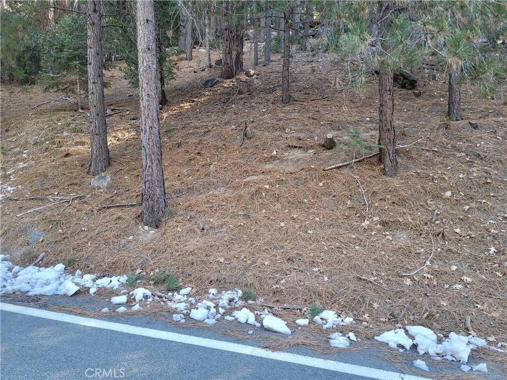 Lake Arrowhead, CA 92352,0 Brentwood DR