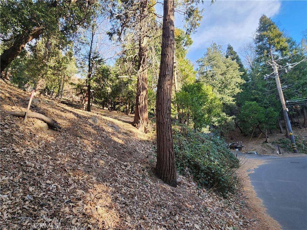 Crestline, CA 92325,0 Basel DR