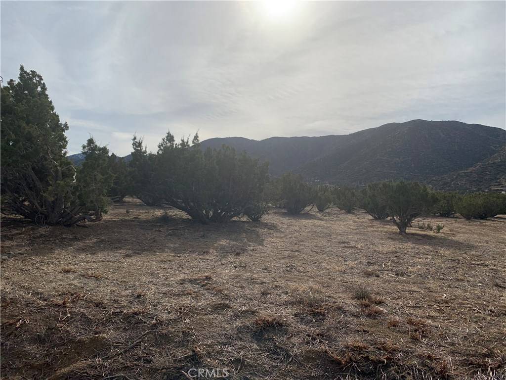 Juniper Hills, CA 93543,0 Vac/Cima Mesa Pav /Vic 104 Ste