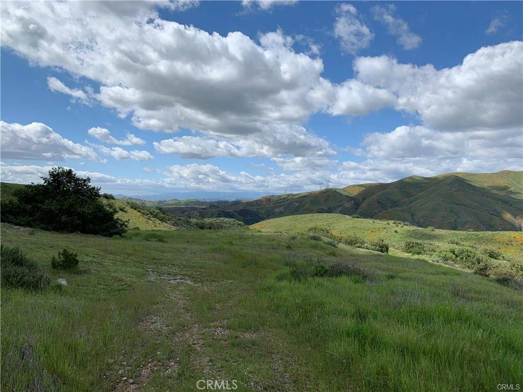 Agua Dulce, CA 91390,0 Agua Dulce Land