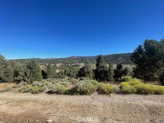 Big Bear City, CA 92314,0 Pelican