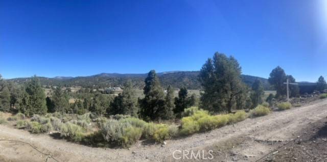 Big Bear City, CA 92314,0 Pelican