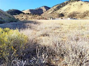 Lebec, CA 93243,0 Frykholm WAY