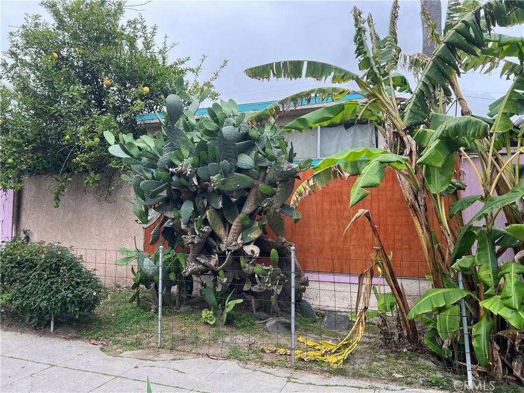 Venice, CA 90291,1137 Cabrillo AVE