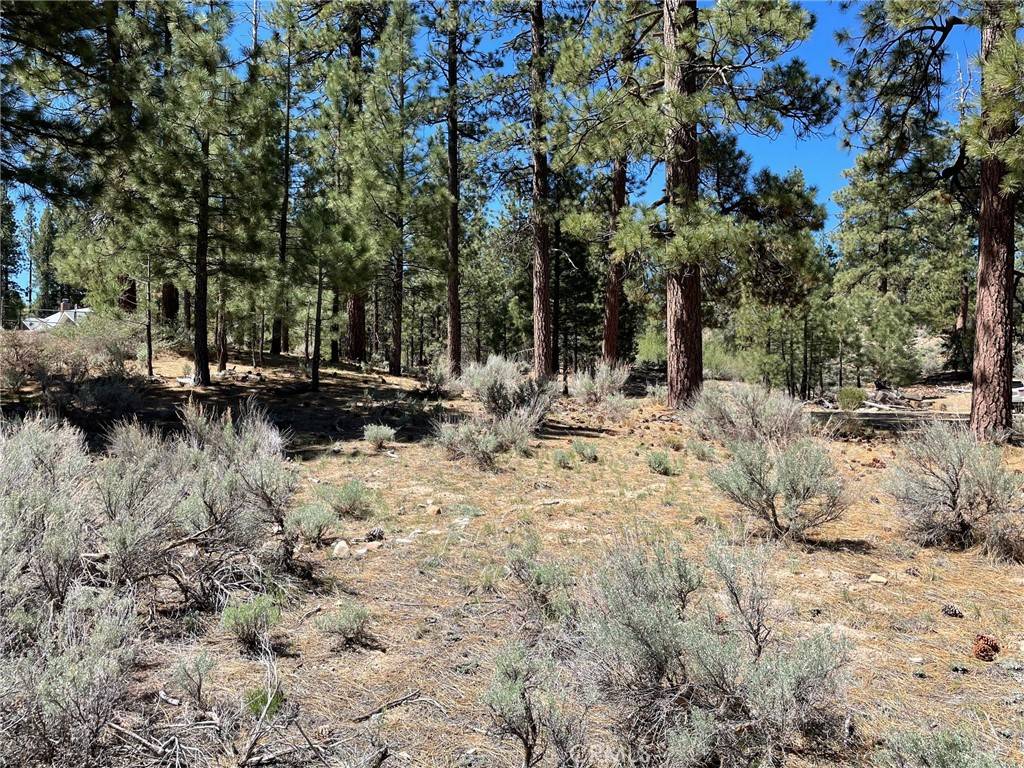 Big Bear Lake, CA 92315,320 Starvation Flats RD