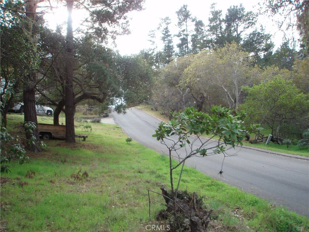 Cambria, CA 93428,0 Kenneth DR