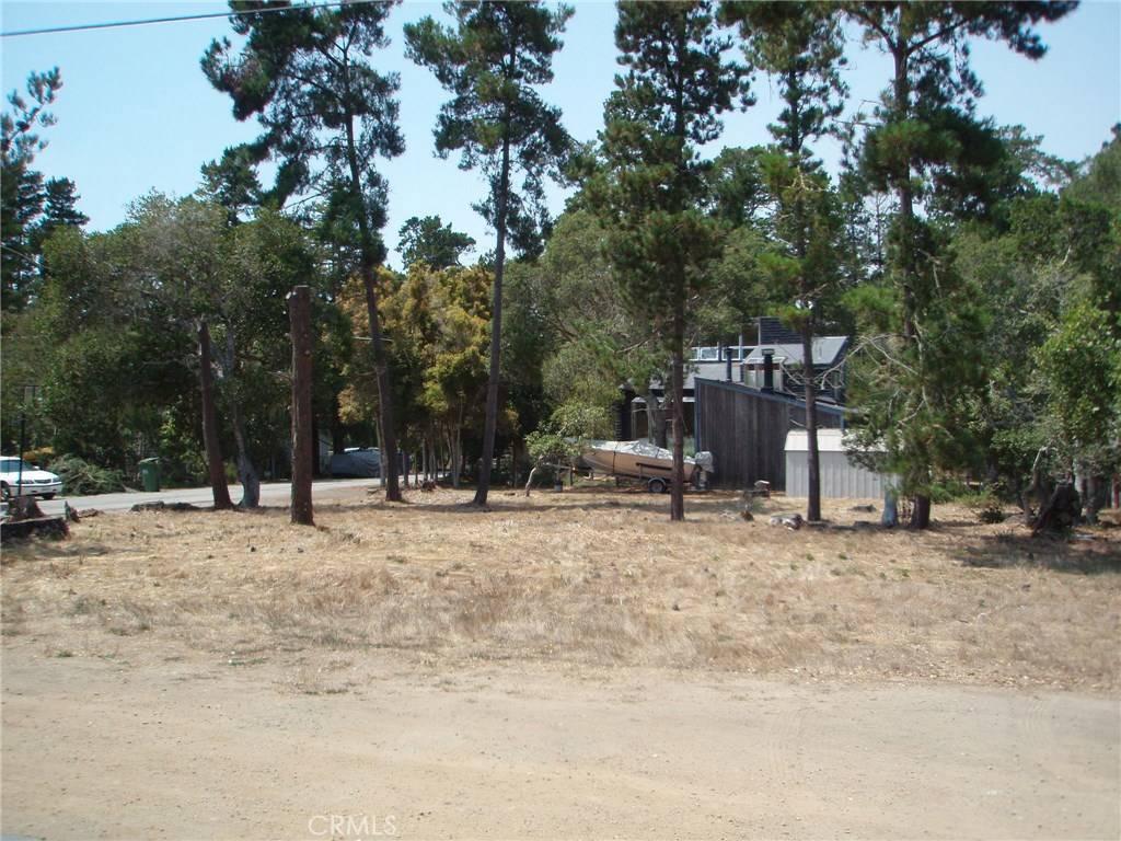 Cambria, CA 93428,1213 Warren RD