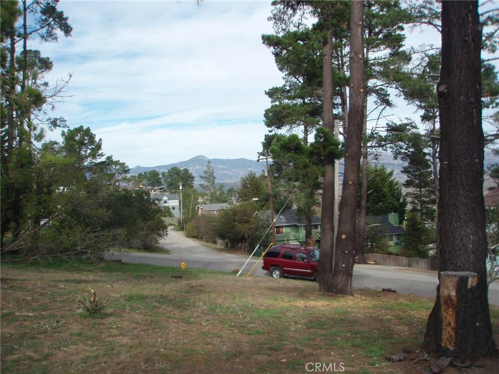 Cambria, CA 93428,0 Pineridge DR