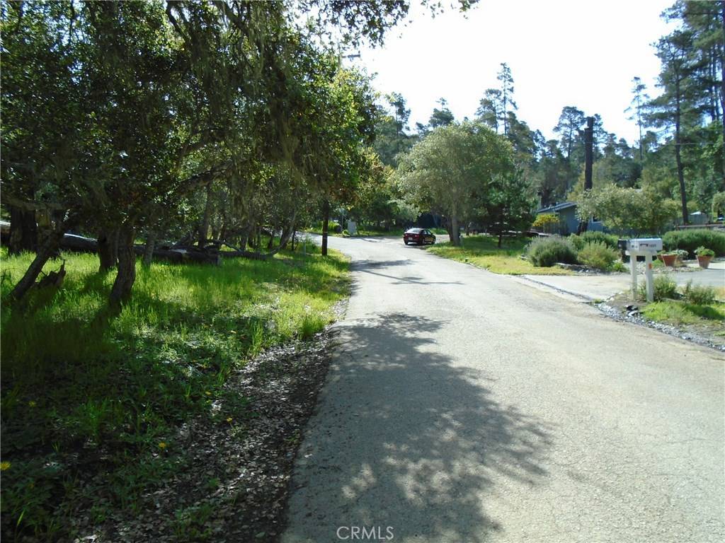 Cambria, CA 93428,1880 Orville AVE