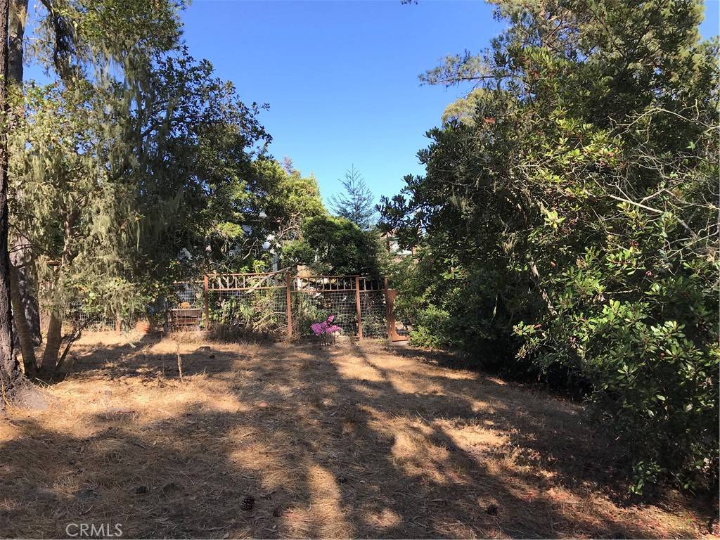 Cambria, CA 93428,0 Wilton DR