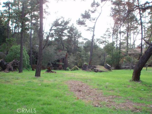 Cambria, CA 93428,0 Bradford RD