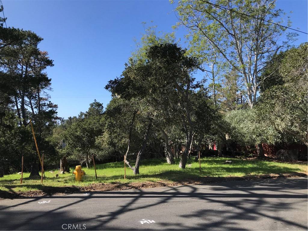 Cambria, CA 93428,0 Alban PL