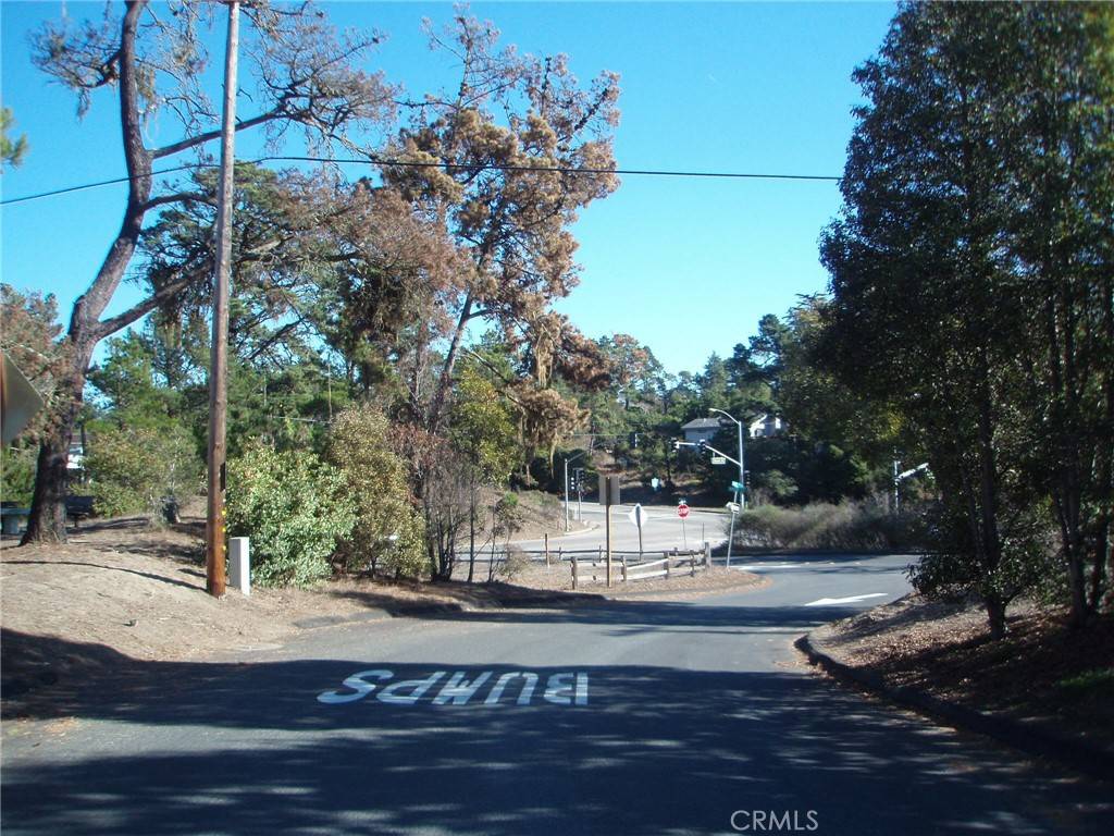 Cambria, CA 93428,0 Wilton DR