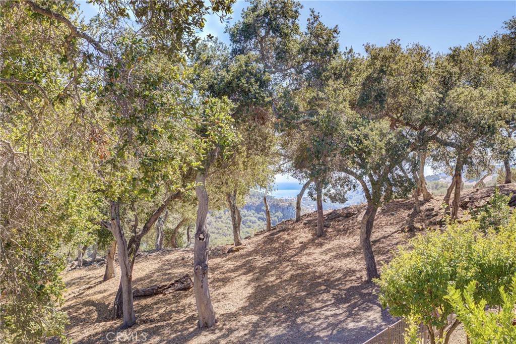 Avila Beach, CA 93424,2935 Elderberry LN