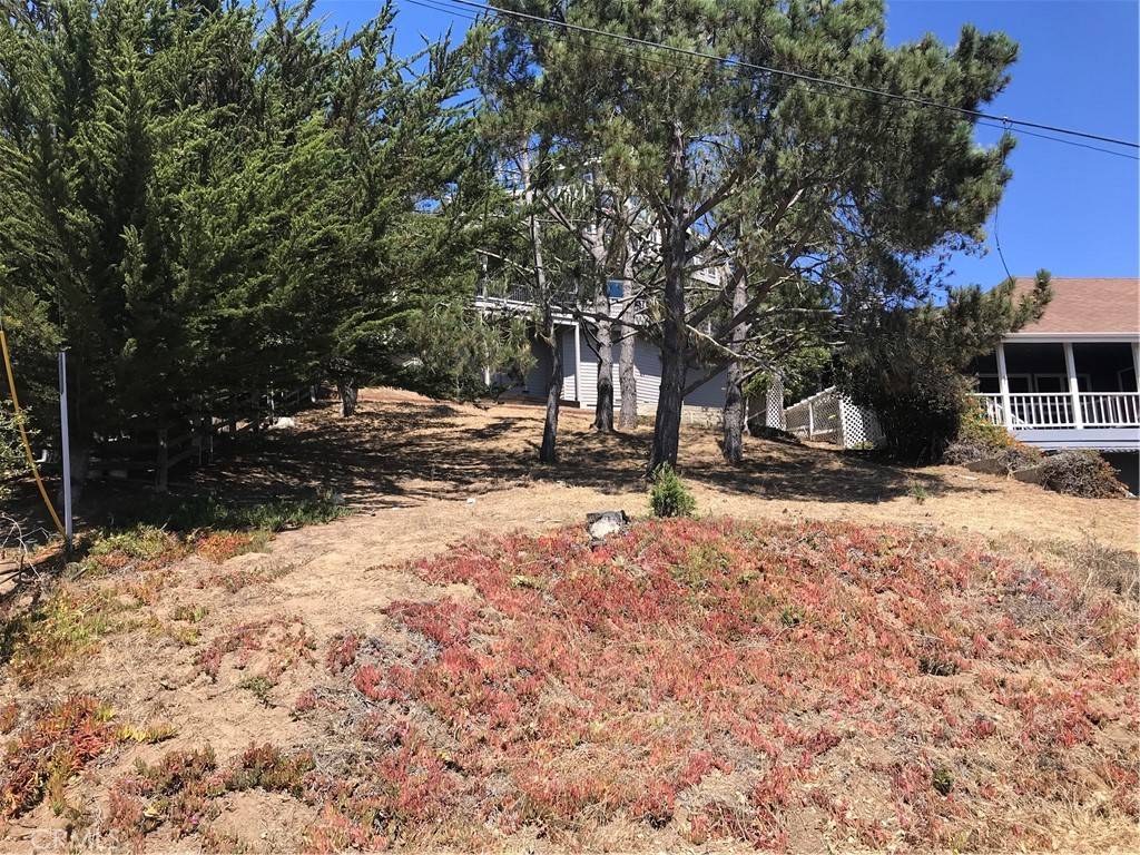 Cambria, CA 93428,0 Canterbury LN