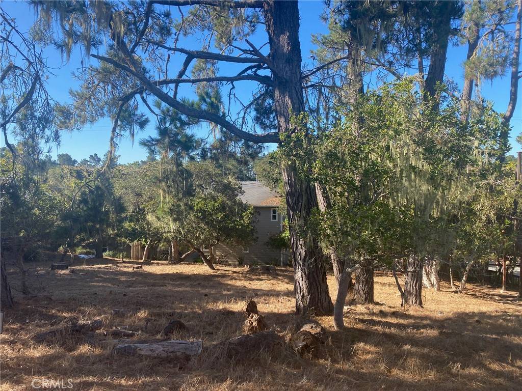 Cambria, CA 93428,0 Alban PL