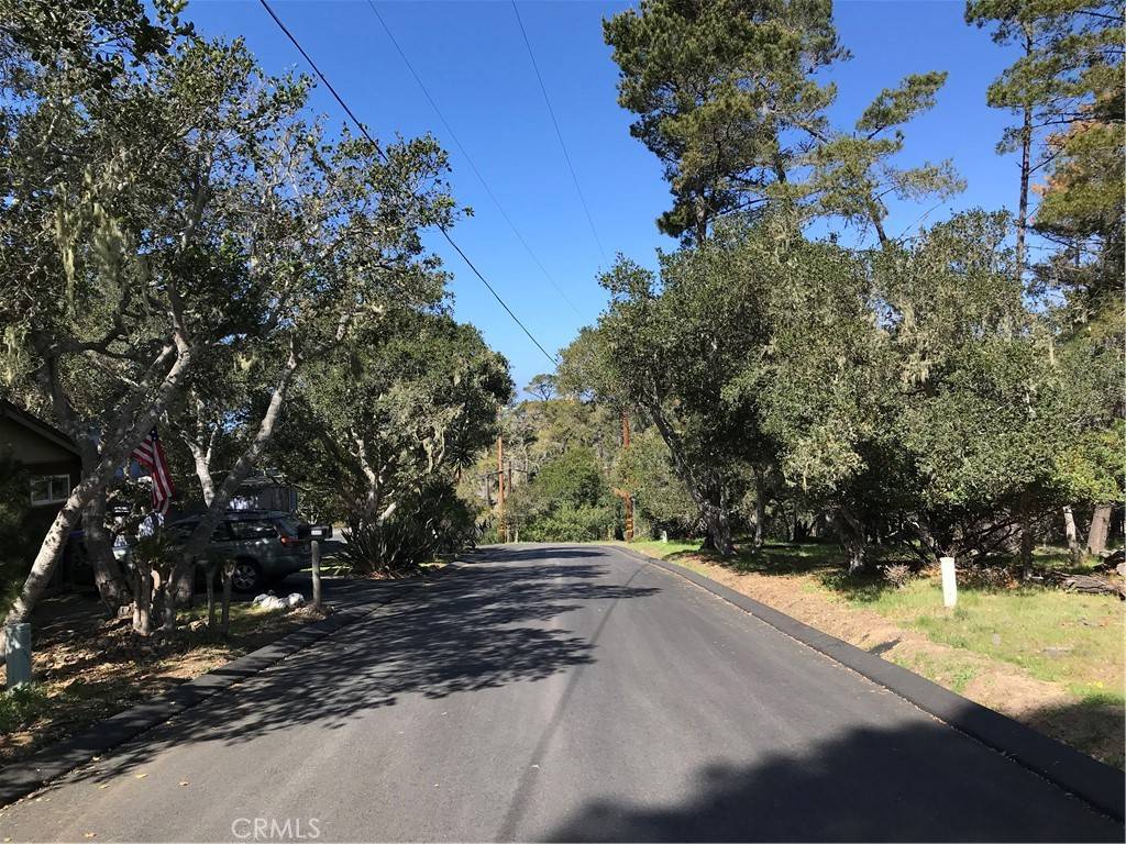 Cambria, CA 93428,0 Alban PL