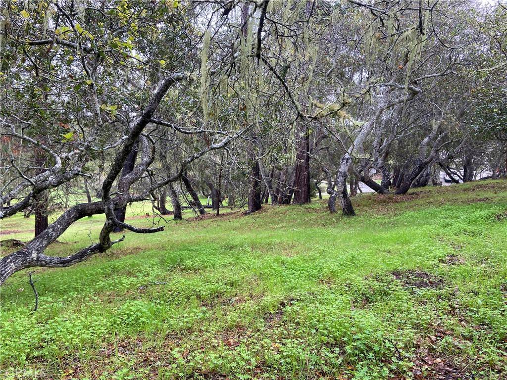 Cambria, CA 93428,0 Kenneth