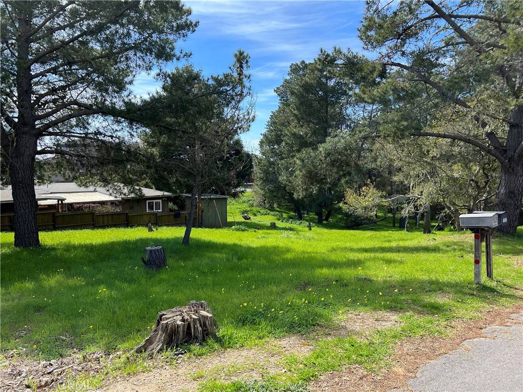 Cambria, CA 93428,0 Benson AVE