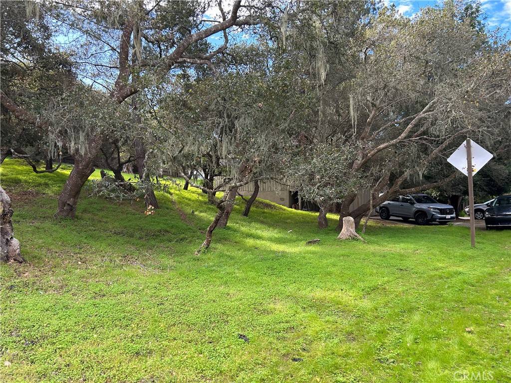 Cambria, CA 93428,0 Richard AVE