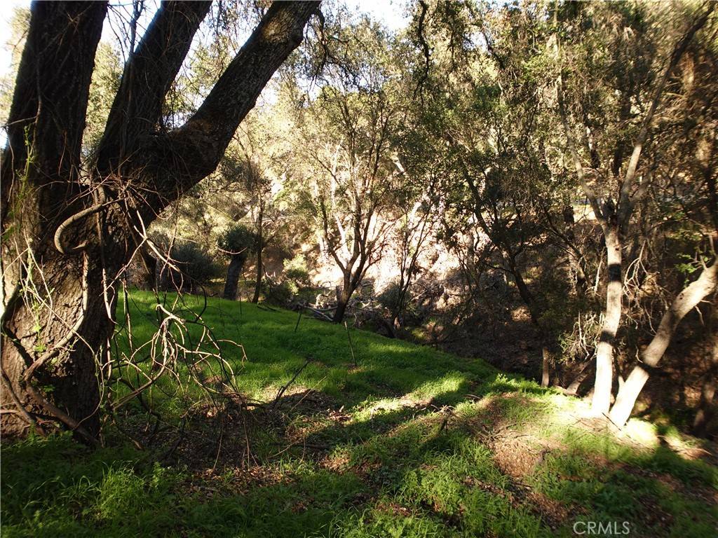 Atascadero, CA 93422,5495 Encino AVE