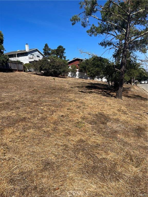 Cambria, CA 93428,2333 Mccabe DR