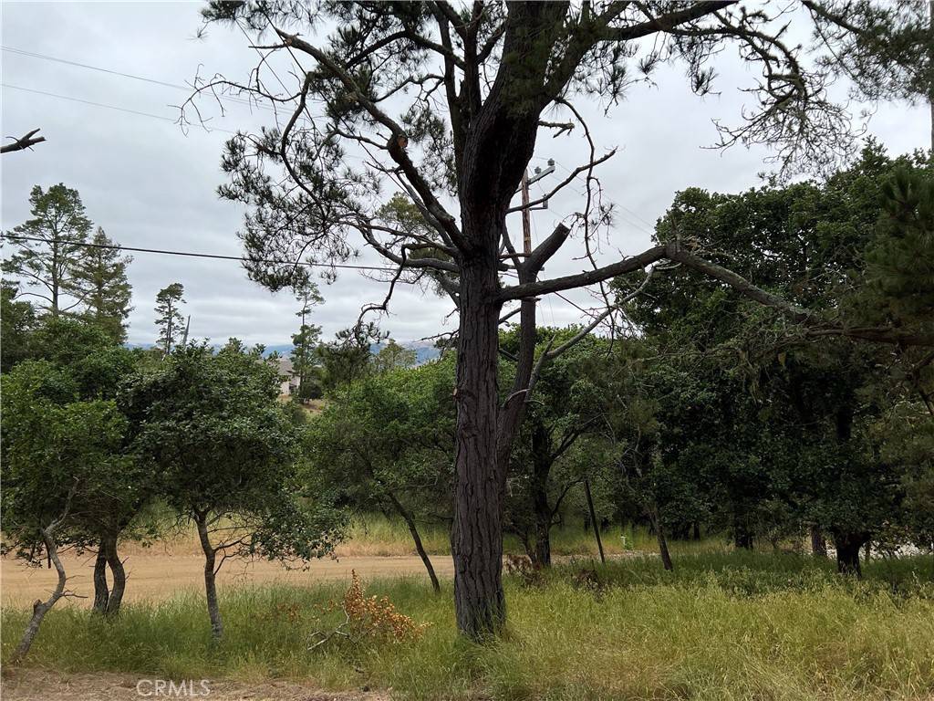 Cambria, CA 93428,0 Norton LN