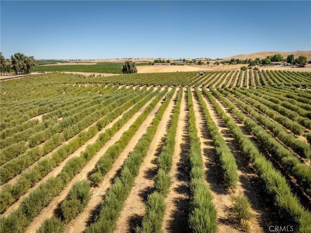 Paso Robles, CA 93446,5055 Rancho La Loma Linda DR