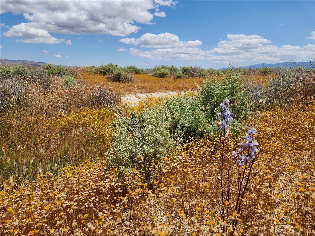 Santa Margarita, CA 93453,0 Blocksburg #Unit 11 Lot 70