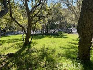 Cambria, CA 93428,0 Astor AVE
