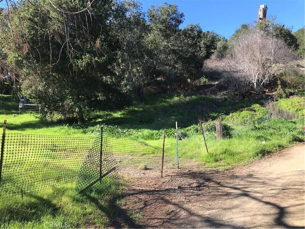 Cambria, CA 93428,4275 Wall ST