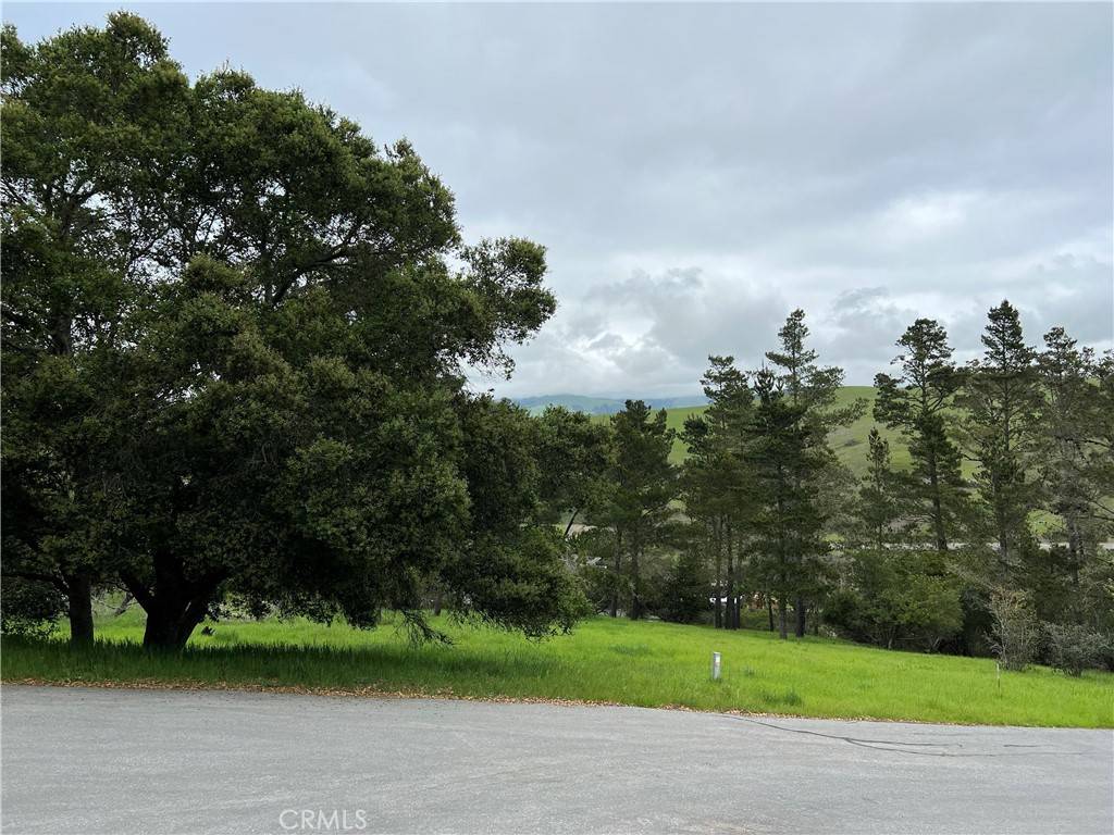 Cambria, CA 93428,1830 Londonderry LN