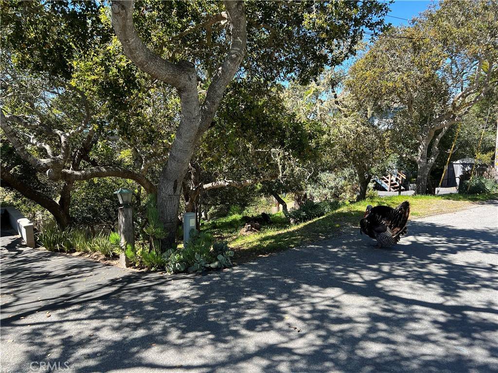 Cambria, CA 93428,1645 Dreydon AVE