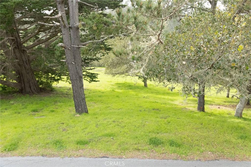 Cambria, CA 93428,0 Richard AVE