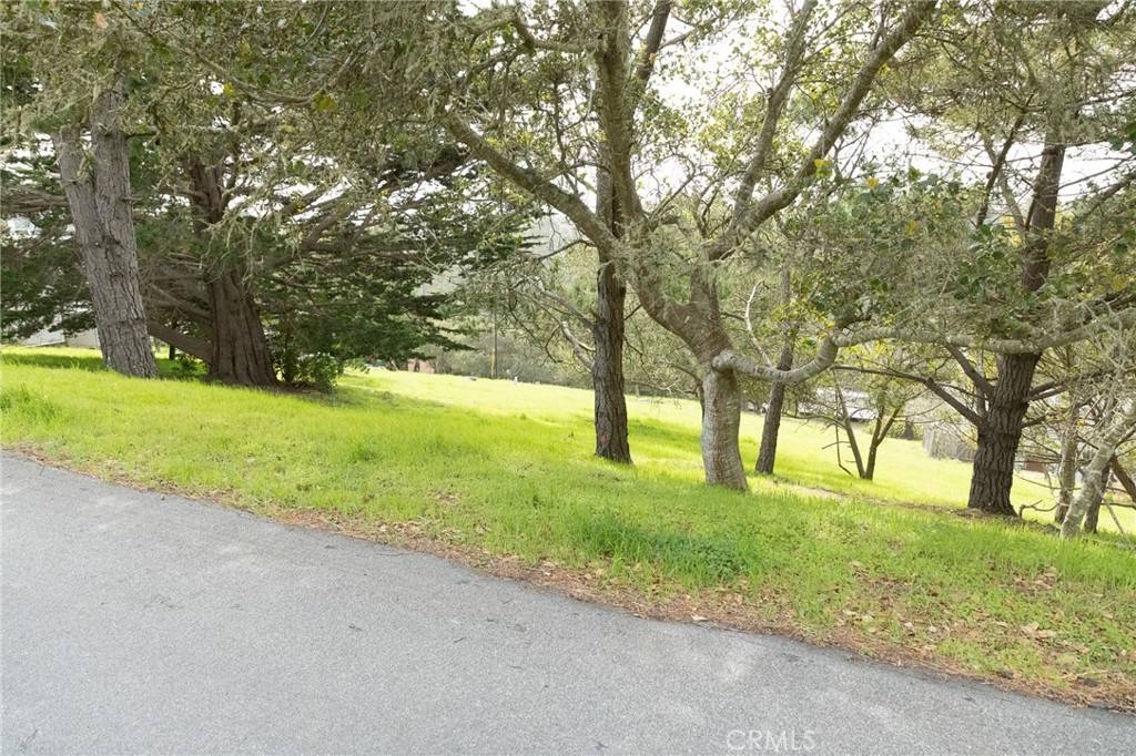 Cambria, CA 93428,0 Richard AVE