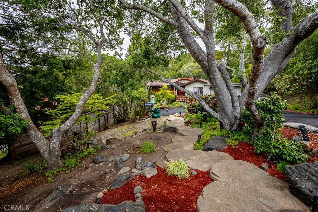 Cambria, CA 93428,925 Iva CT