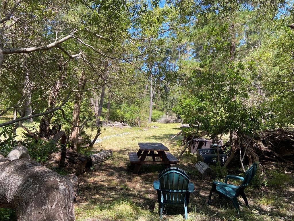 Cambria, CA 93428,1275 Warren RD
