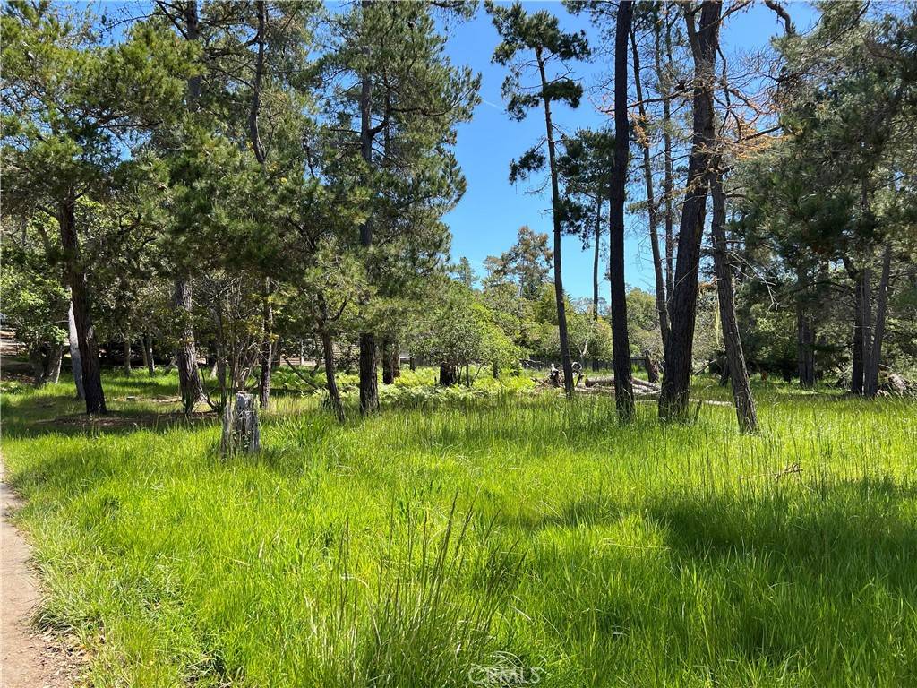Cambria, CA 93428,0 Kenneth DR