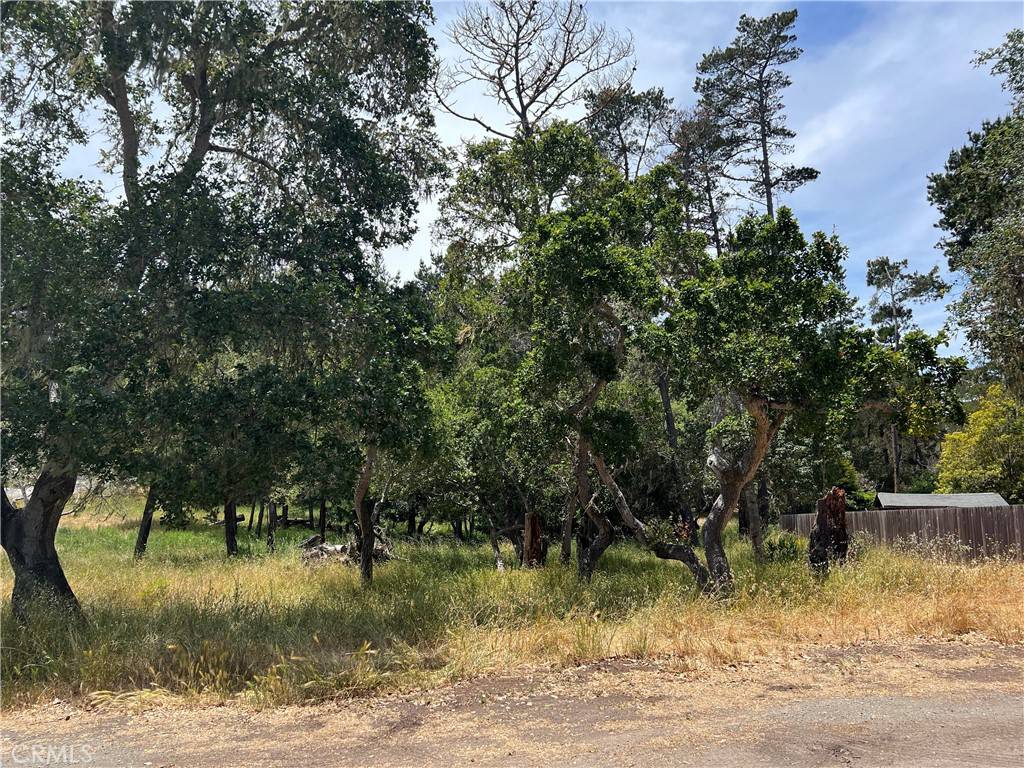 Cambria, CA 93428,0 Trenton AVE
