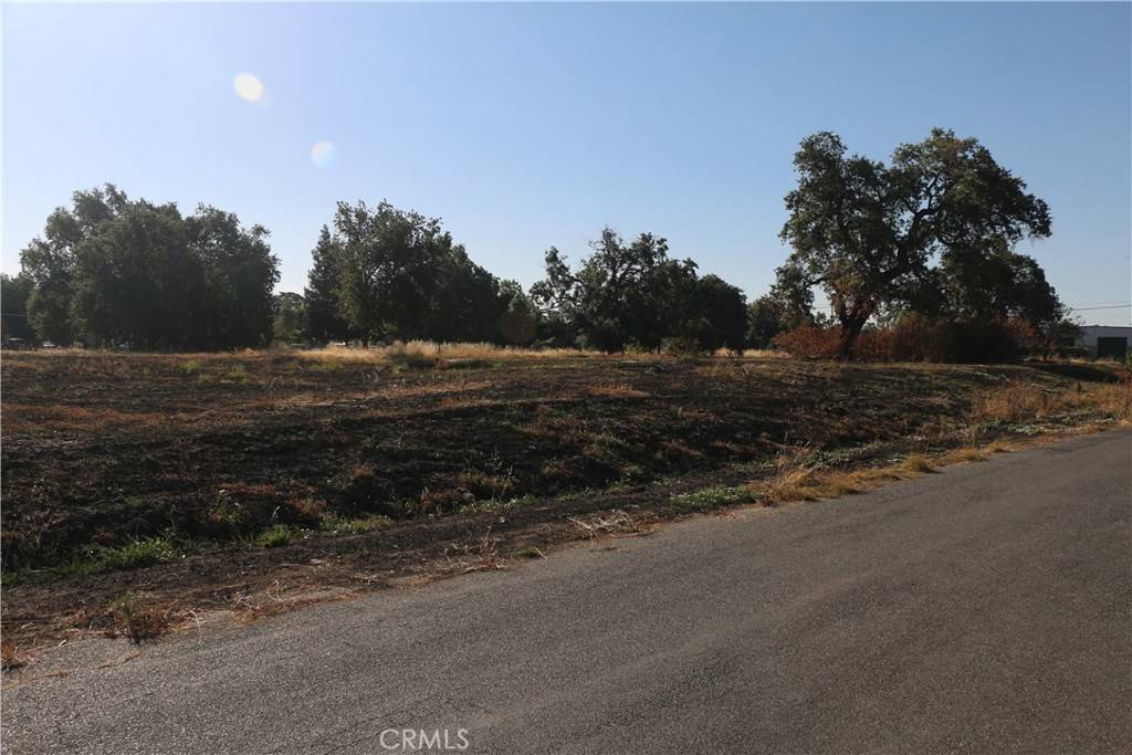 Hamilton City, CA 95965,0 Walsh AVE