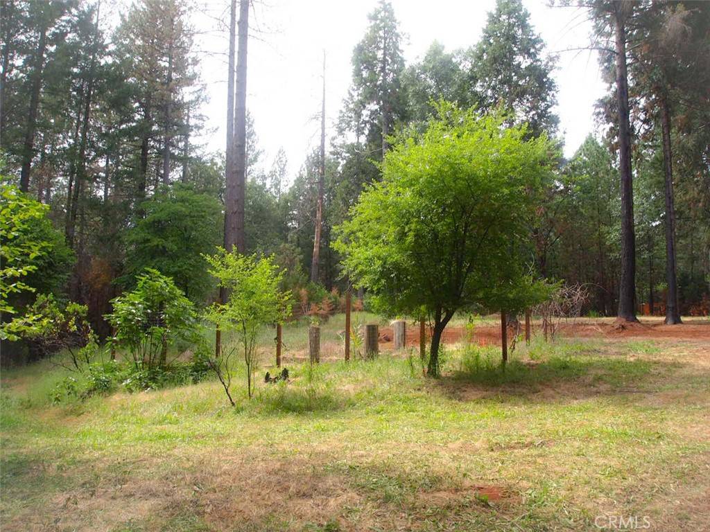 Magalia, CA 95954,14340 Dogtown RD