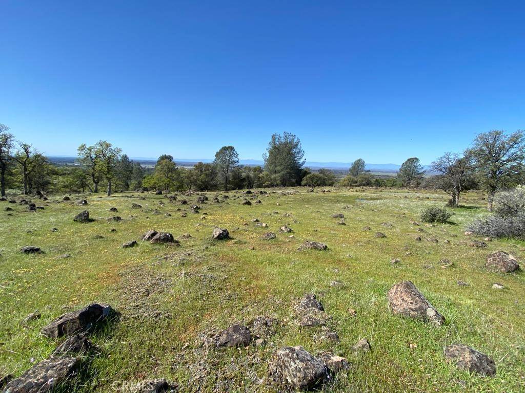 Chico, CA 95973,0 Richardson Springs RD