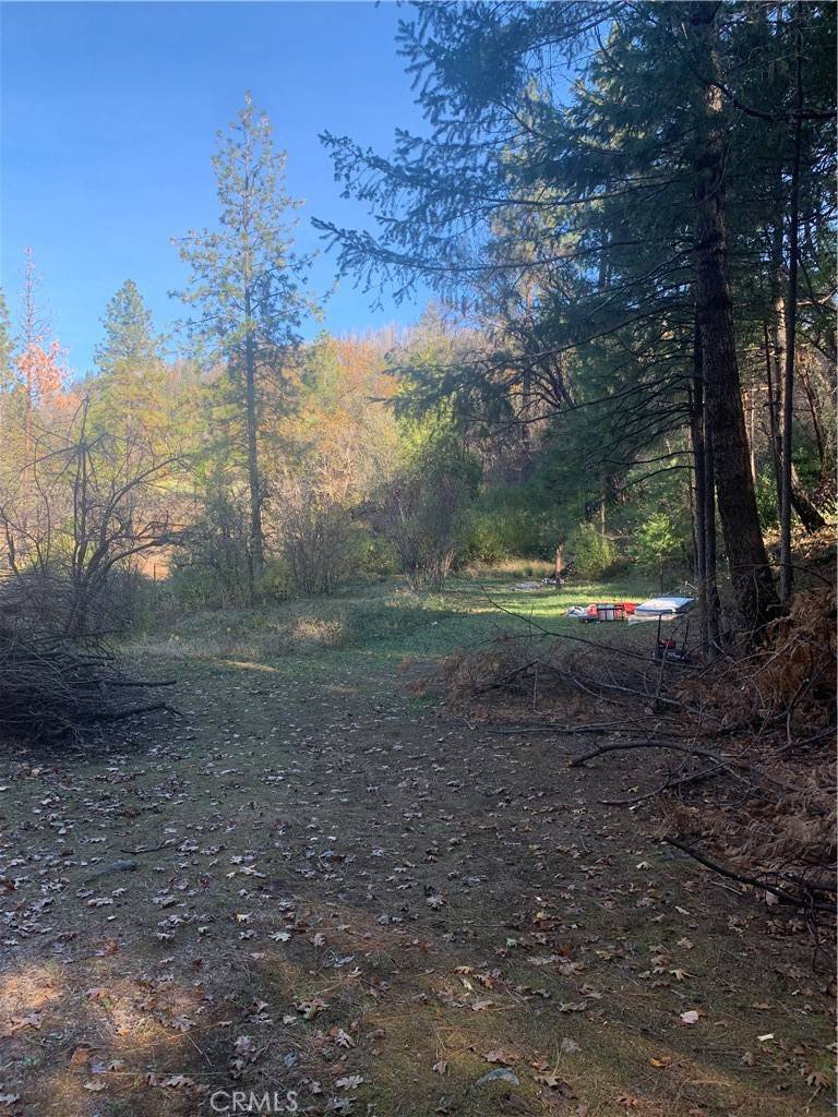 Concow, CA 95965,0 Four Trees Road