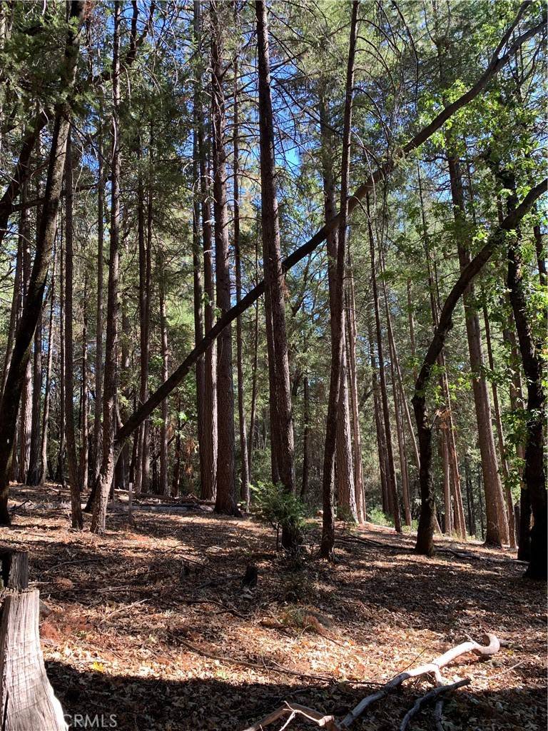 Magalia, CA 95954,43 Mallard CT